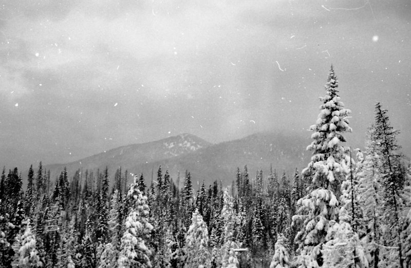 1981 Oregon, Blue Mountains 07