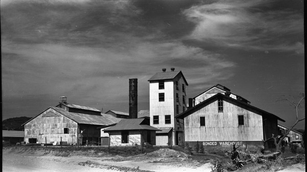 Mindoro, Sugar Plantation 6