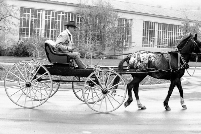1988 Employee, Jack Johnson Carriage Ride 14