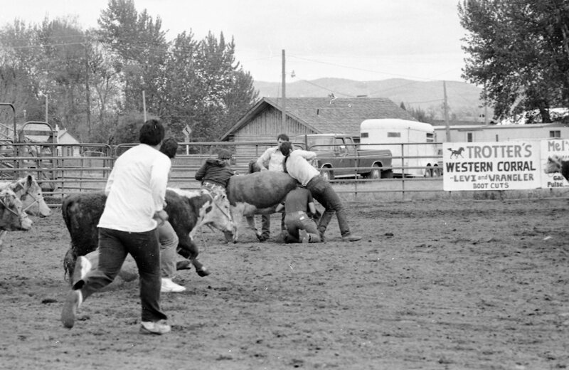 1983 Springfest, Rodeo, Cow Milking 05