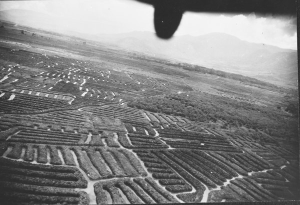Farming fields and buildings, with the perspective from above in the back of an aircraft.