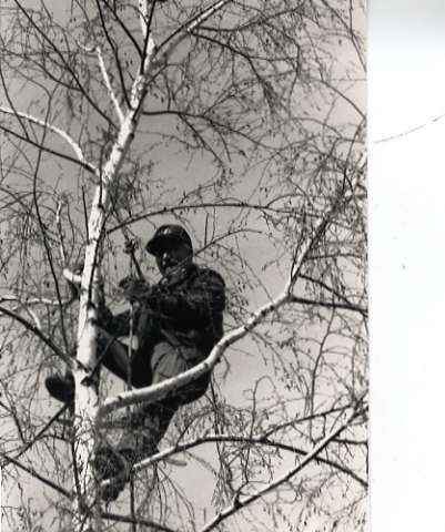 1990 Employee, Tree Trimming 1-2