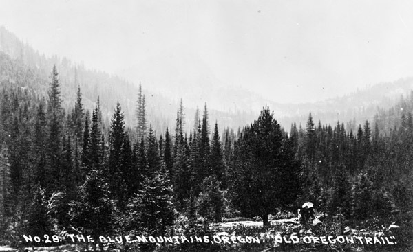 Oregon, Scenery 1