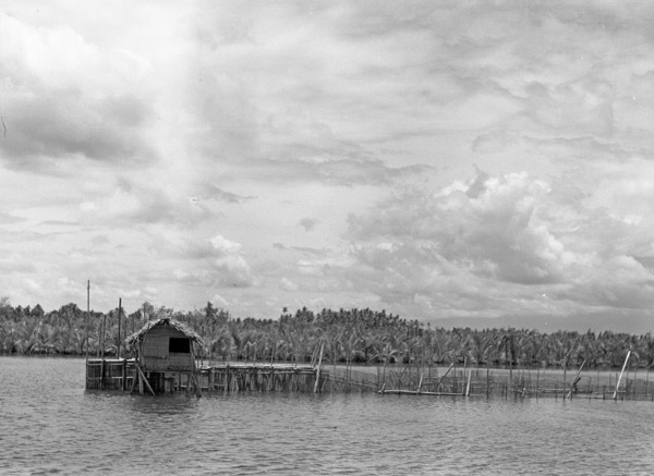 Binmaley, Shrimp Trap 1