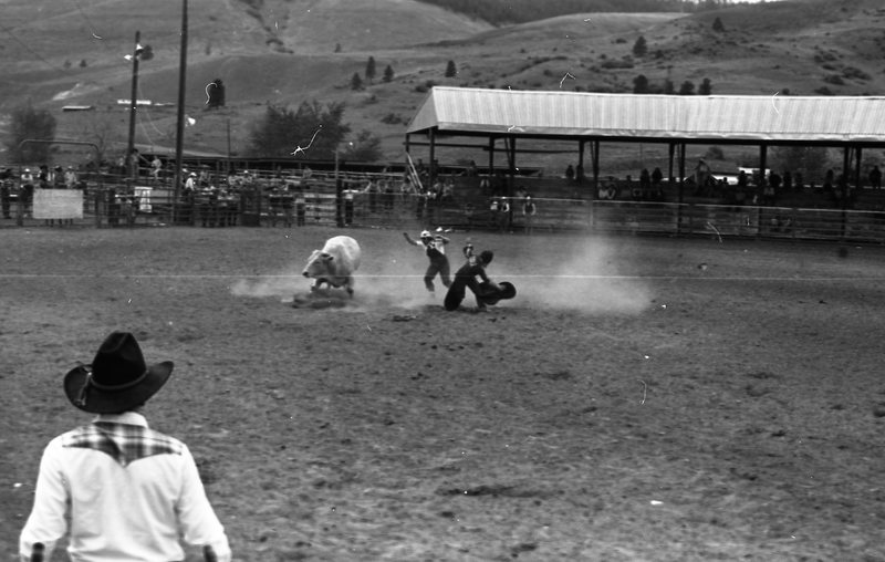 1981 Rodeo, Bull Riding 09