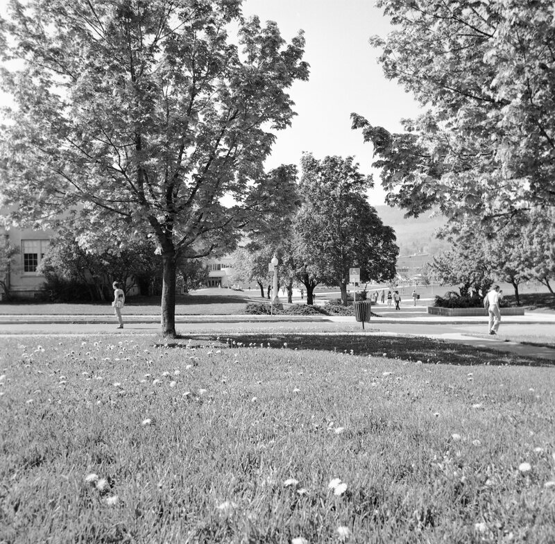 1978 Campus in Spring 07