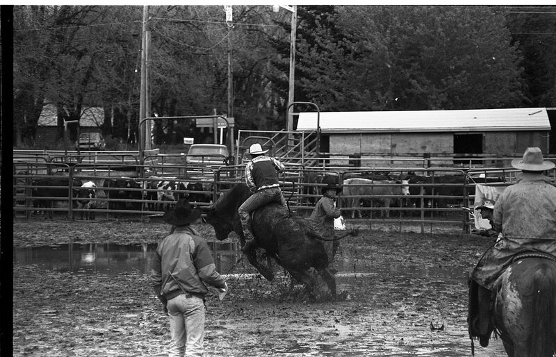 1991 Eastern Rodeo, Bull Riding 09