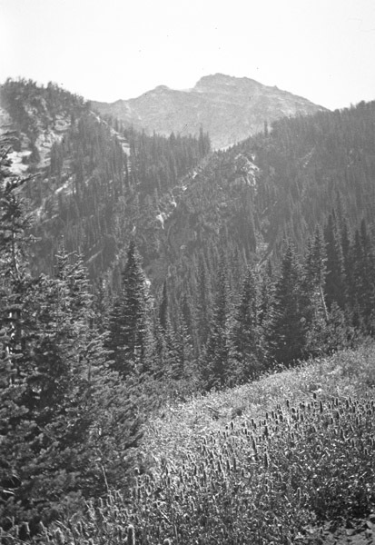 Oregon, Scenery 31