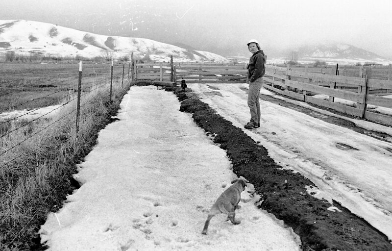 1974 Livestock Ranch 03