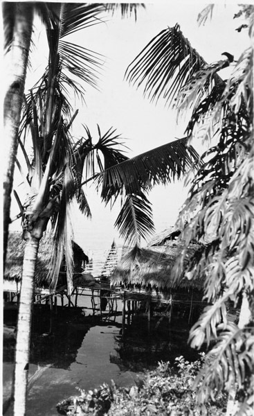 Biak Native Homes 8