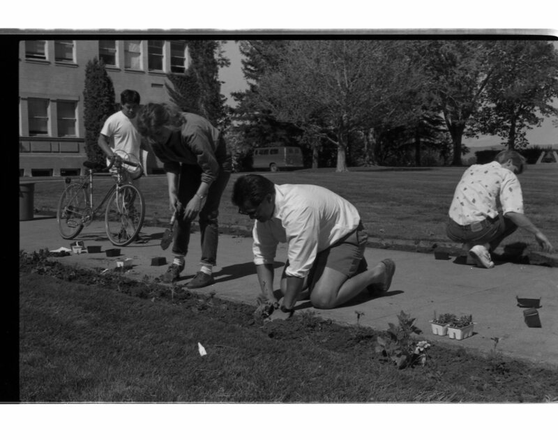 1989 Employees, Planting 24