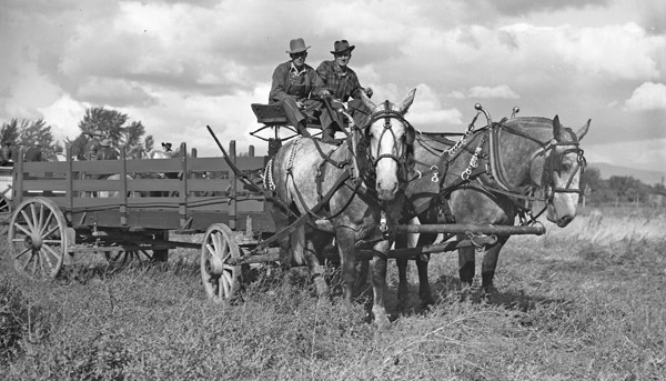 Union Stock Show, 1941 5