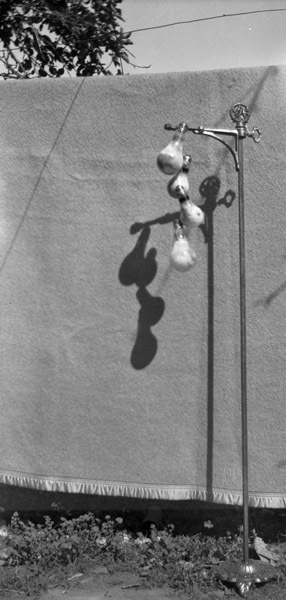 Photo Class Project 2