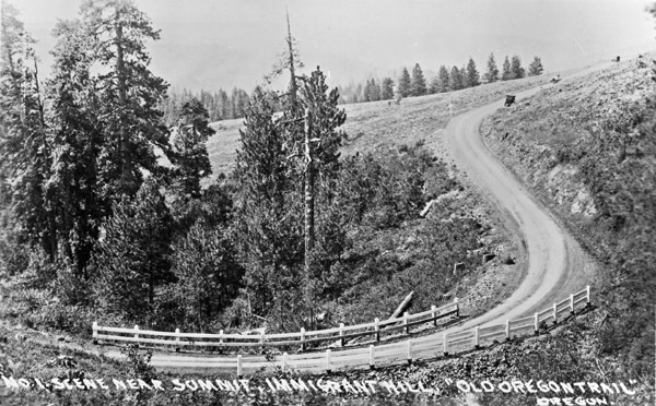 Cabbage Hill 2
