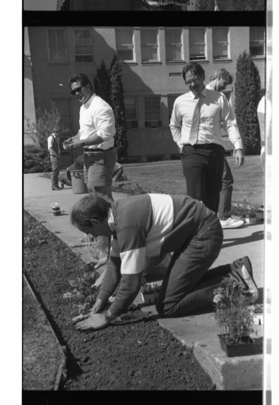 1989 Employees, Planting 06