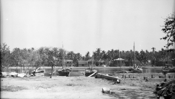 Dagupan, Local Homes