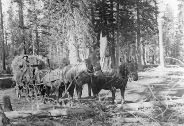 Oregon, Hay Wagon