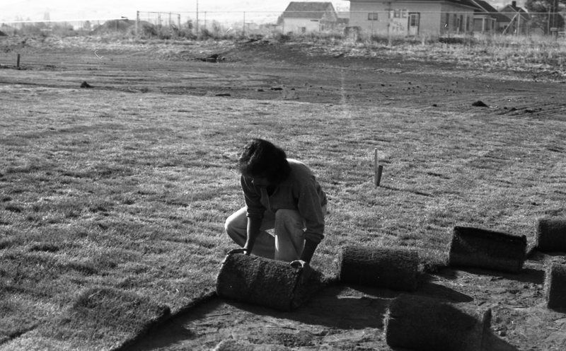1981 Football Field, New Grass 08