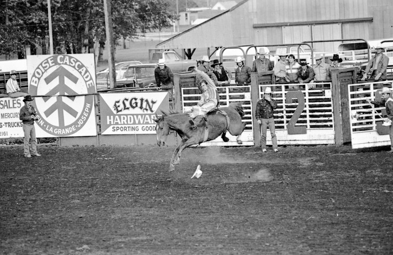 1978 Rodeo, Bronco Riding 07