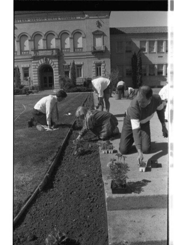 1989 Employees, Planting 08