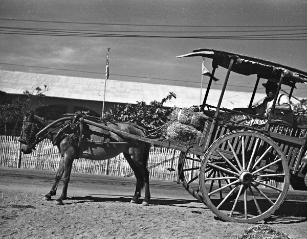 Binmaley Locals, Horse Cart 2