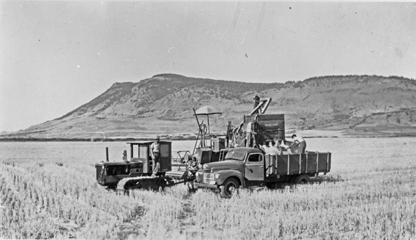 Alicel, Farming 1