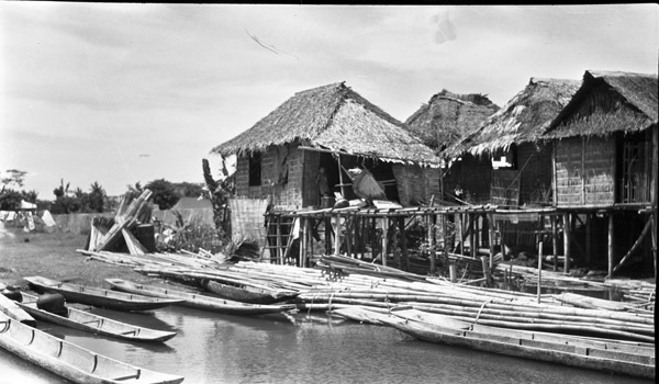 Hollandia Native Homes 2