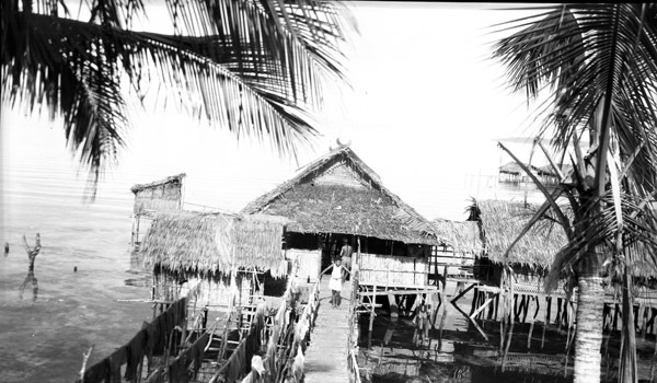Biak Native Homes 2