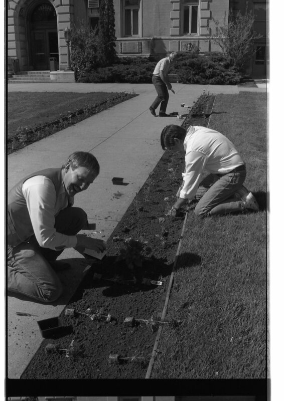 1989 Employees, Planting 14