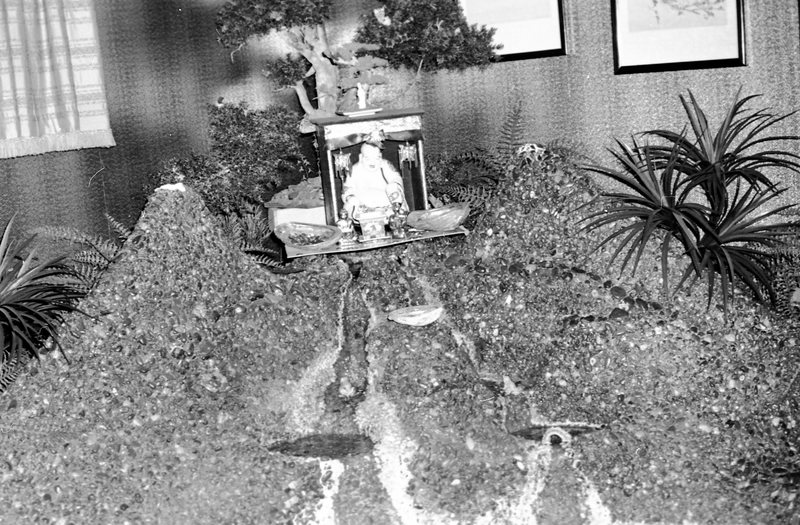 1972 Employee, Howard Anderson 01