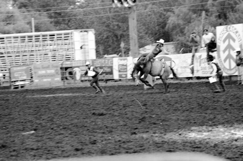1987 Rodeo, Bronco Riding 15