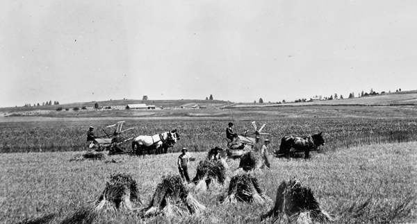 Elgin, Farm Binders