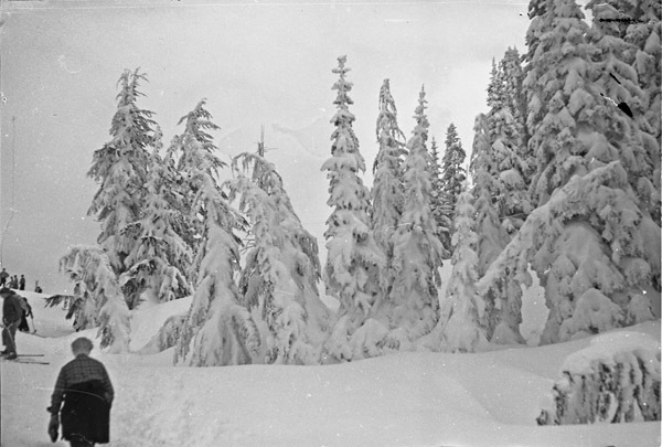 Mt. Rainier, Snow Hike 1