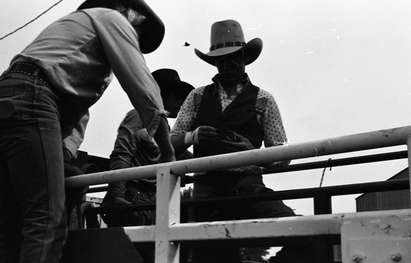 1981 Rodeo, Cowboys in Chute 16