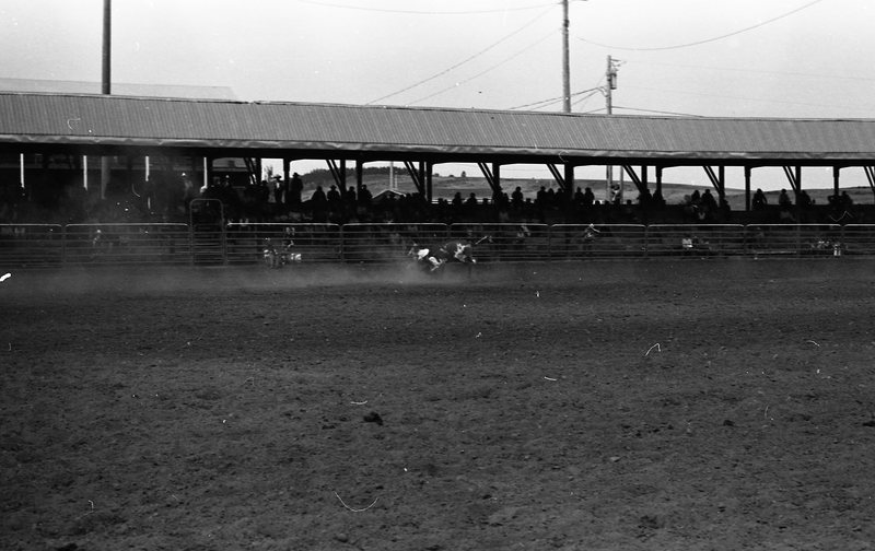 1981 Rodeo, Bulldogging 03