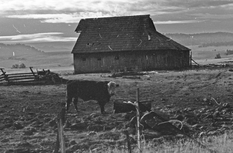 1985 Agriculture, Ranch 06