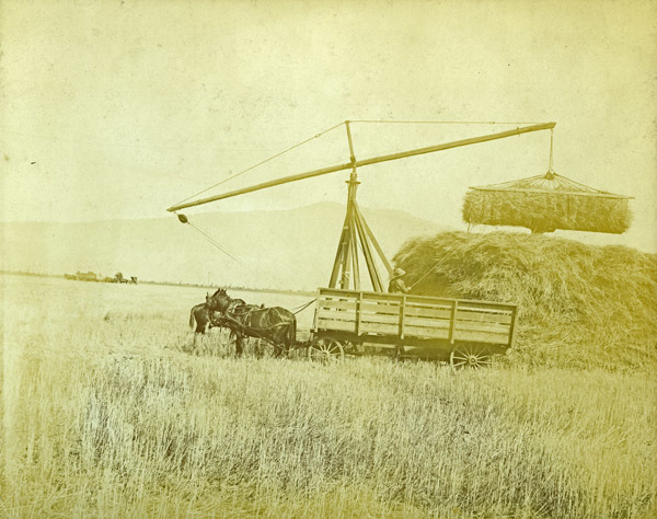 GRV, Stacking Hay 1