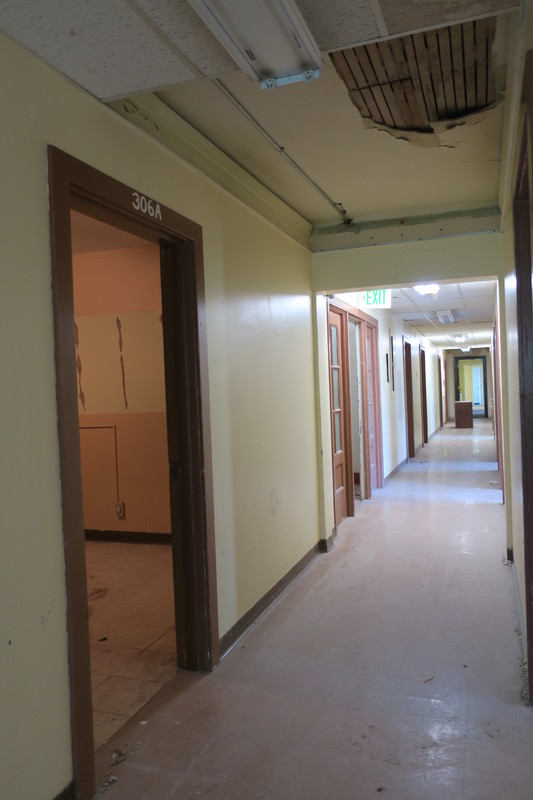 Dorian and Hunt Hall 238