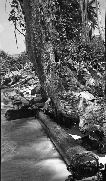 Old Wooden Mast