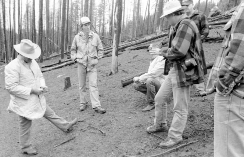 1987 Field Trip, Forest 17