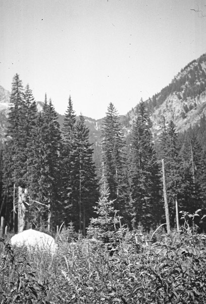 Oregon, Scenery 22