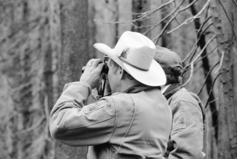 1987 Field Trip, Forest 02