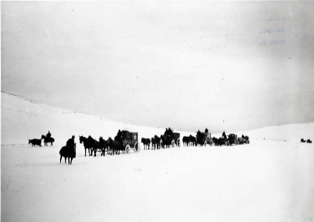 1912 Oregon, Elk Imports 2