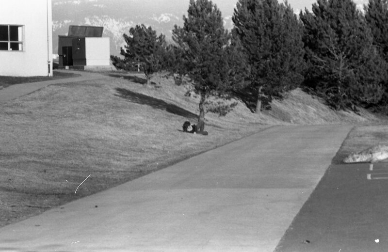1985 Student, Outdoors 02
