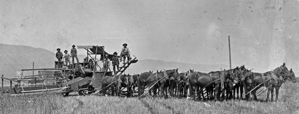 Umatilla County, Farming