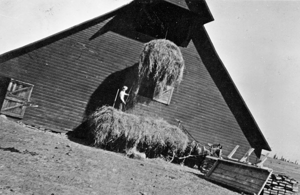 Elgin Farm, Carl Long 1