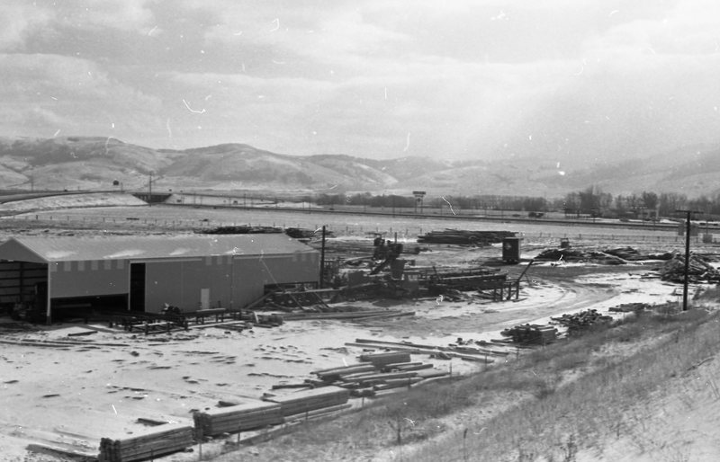 1980 Log Plant 12