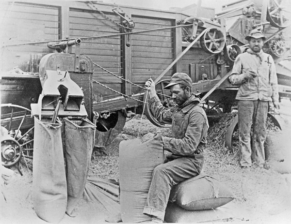Farm, Sack Sewing