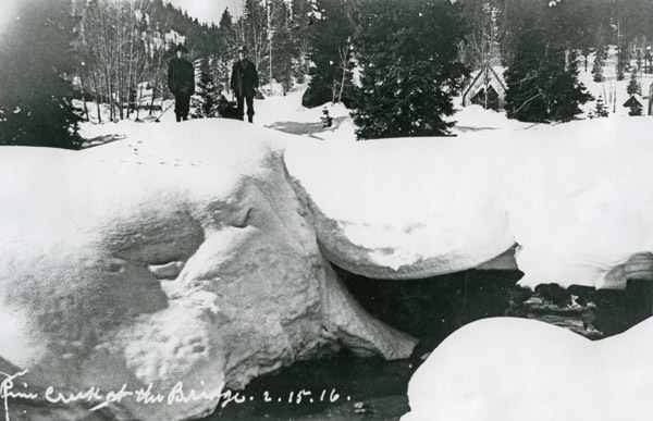 Cornucopia, Winter 3