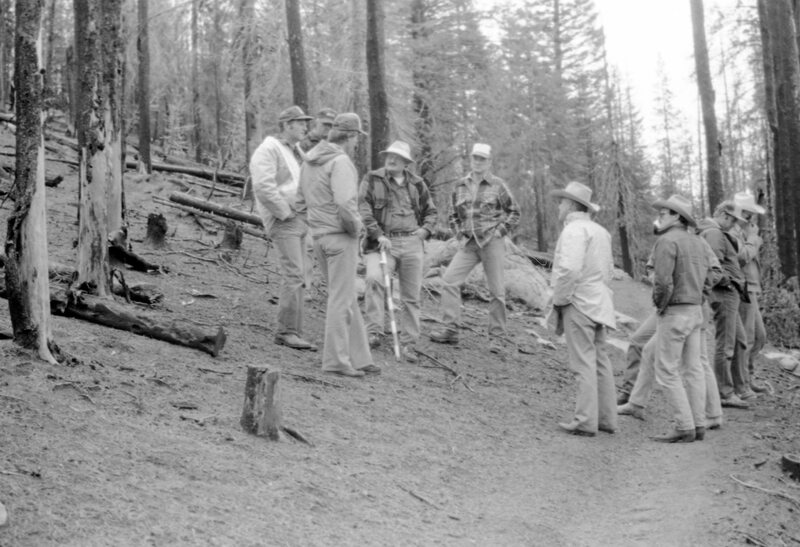1987 Field Trip, Forest 09